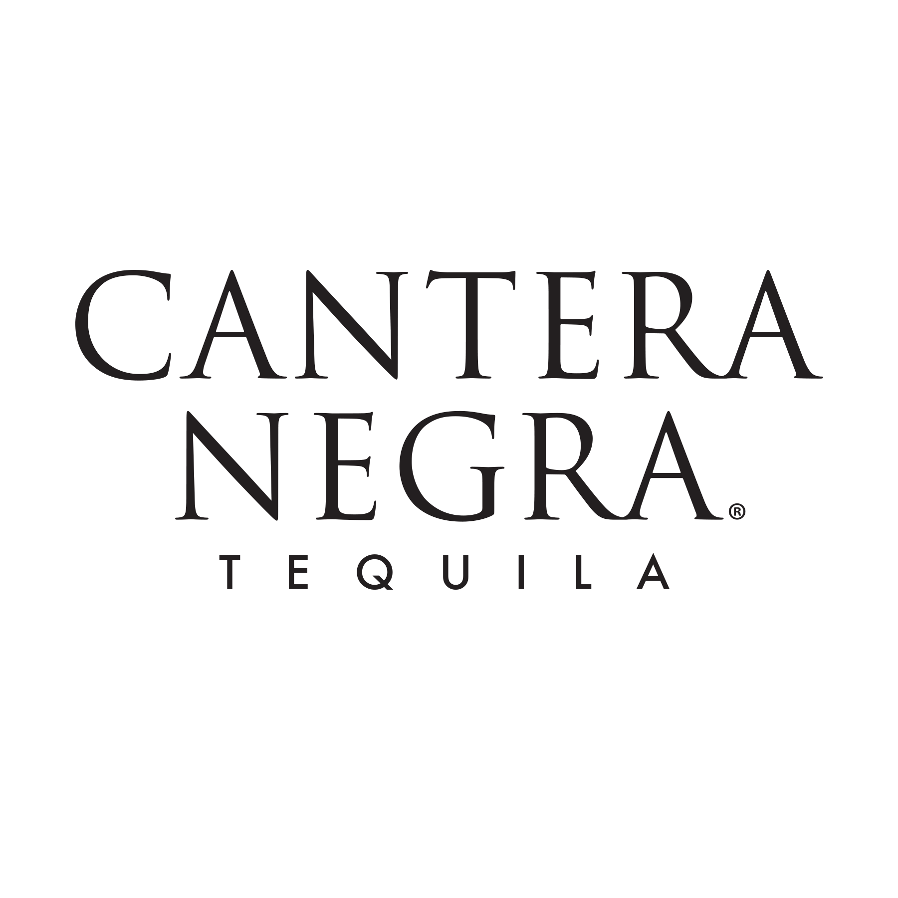 /media/kpmn15vk/cn_fy23_de_logo_tequila_black.png